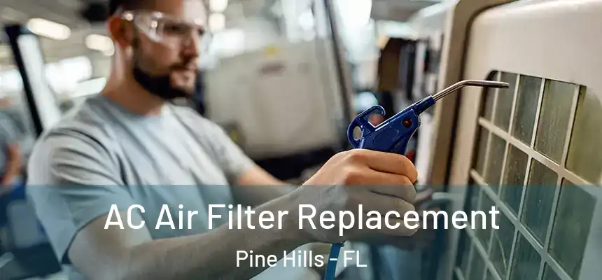 AC Air Filter Replacement Pine Hills - FL