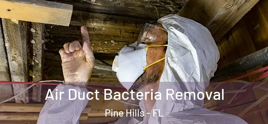  Air Duct Bacteria Removal Pine Hills - FL