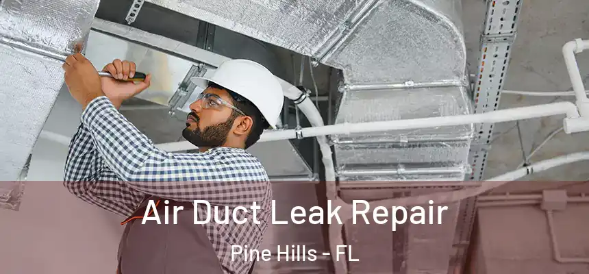 Air Duct Leak Repair Pine Hills - FL