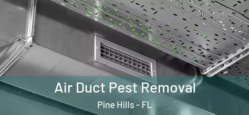 Air Duct Pest Removal Pine Hills - FL