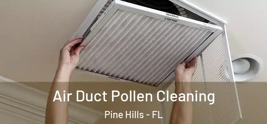 Air Duct Pollen Cleaning Pine Hills - FL