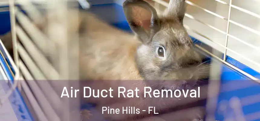 Air Duct Rat Removal Pine Hills - FL