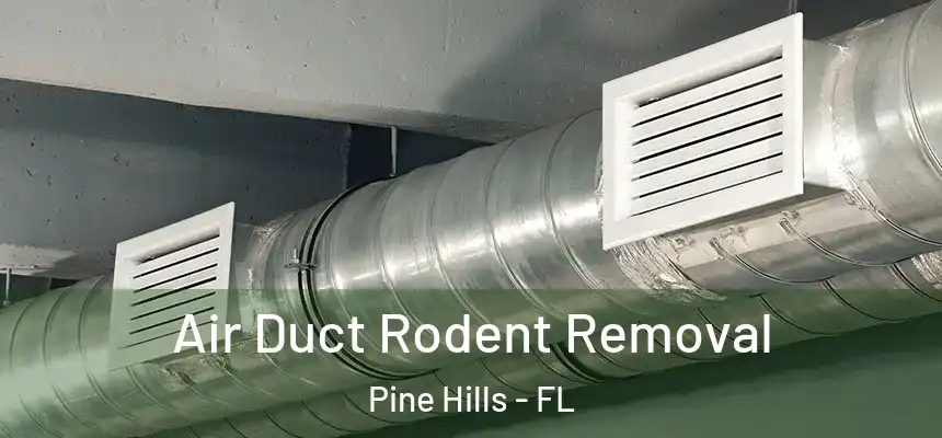  Air Duct Rodent Removal Pine Hills - FL