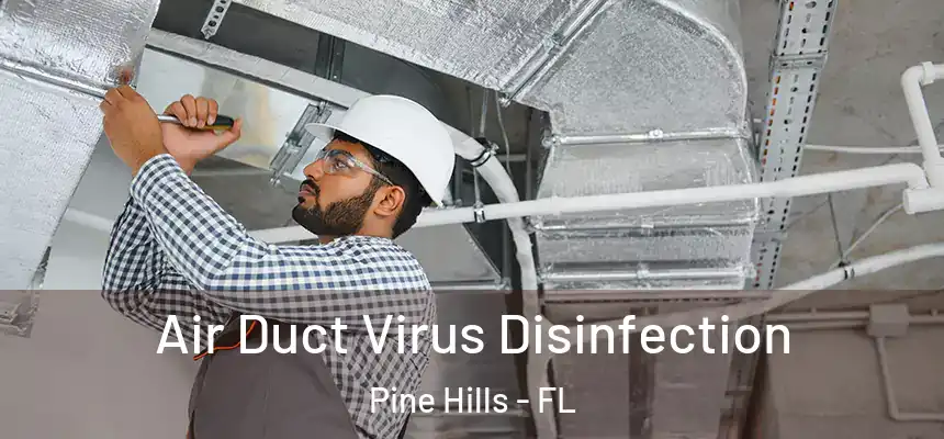  Air Duct Virus Disinfection Pine Hills - FL