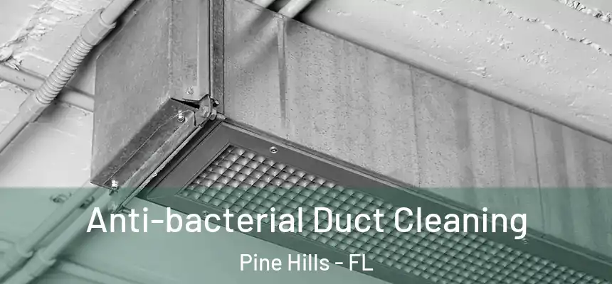  Anti-bacterial Duct Cleaning Pine Hills - FL