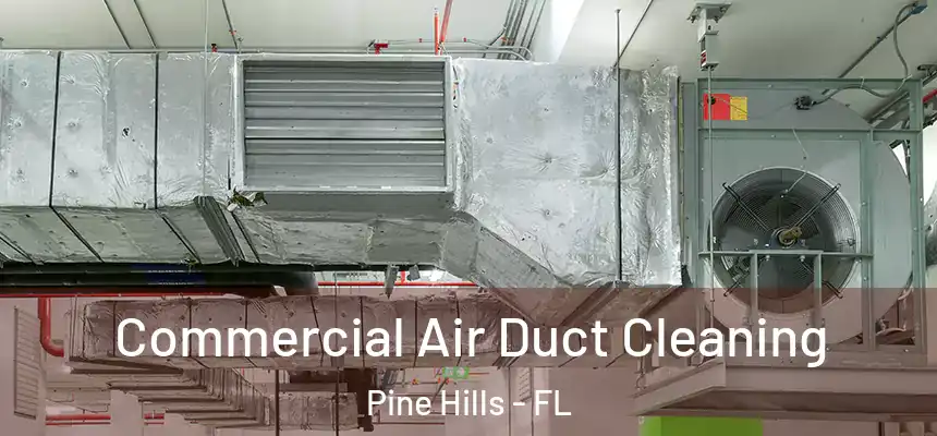 Commercial Air Duct Cleaning Pine Hills - FL