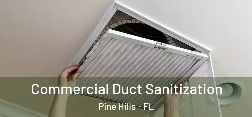 Commercial Duct Sanitization Pine Hills - FL