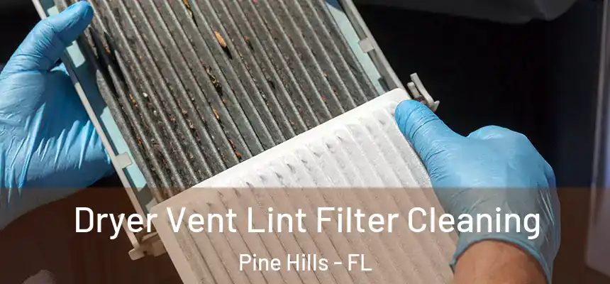  Dryer Vent Lint Filter Cleaning Pine Hills - FL