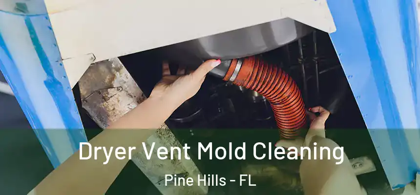 Dryer Vent Mold Cleaning Pine Hills - FL