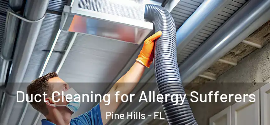 Duct Cleaning for Allergy Sufferers Pine Hills - FL