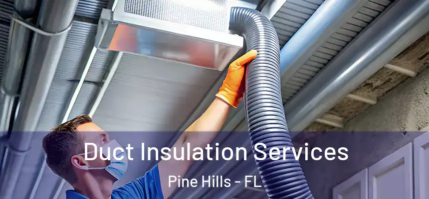 Duct Insulation Services Pine Hills - FL