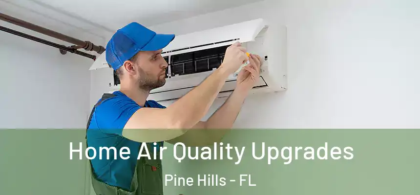 Home Air Quality Upgrades Pine Hills - FL