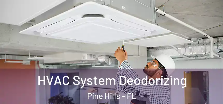 HVAC System Deodorizing Pine Hills - FL