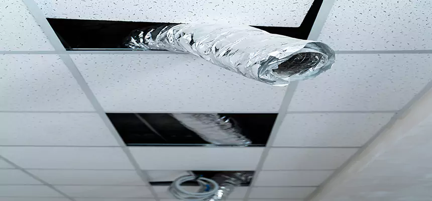 Affordable HVAC Sanitizing After Pest Removal in Pine Hills