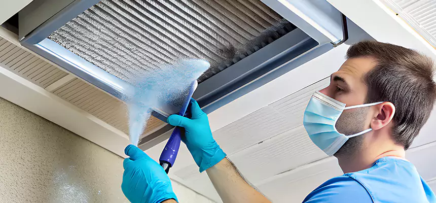 Proactive Dryer Vent & Auxiliary Duct Pollen Cleanup in Pine Hills, FL