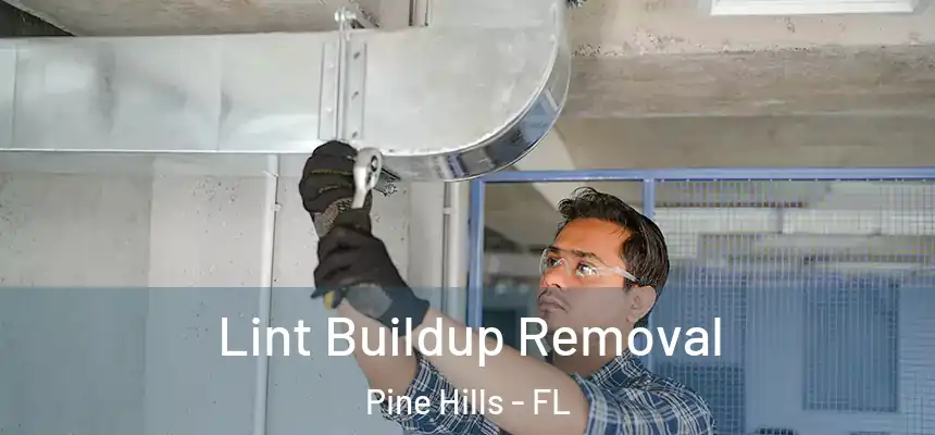 Lint Buildup Removal Pine Hills - FL