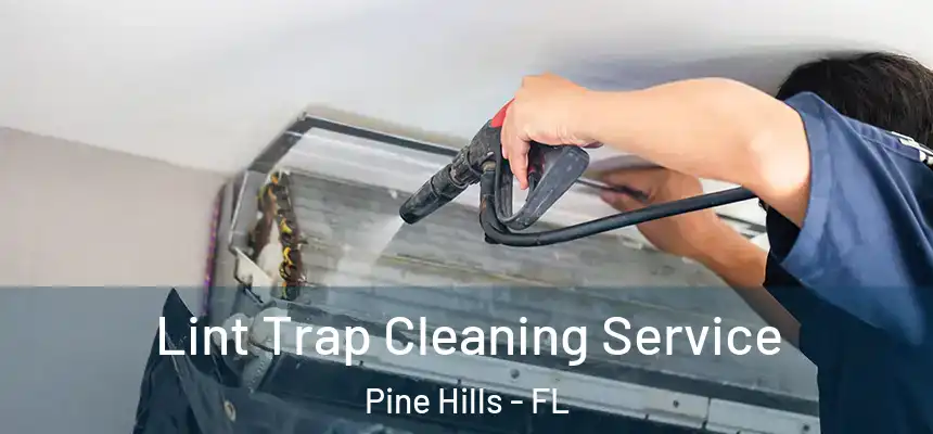 Lint Trap Cleaning Service Pine Hills - FL