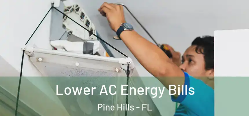  Lower AC Energy Bills Pine Hills - FL