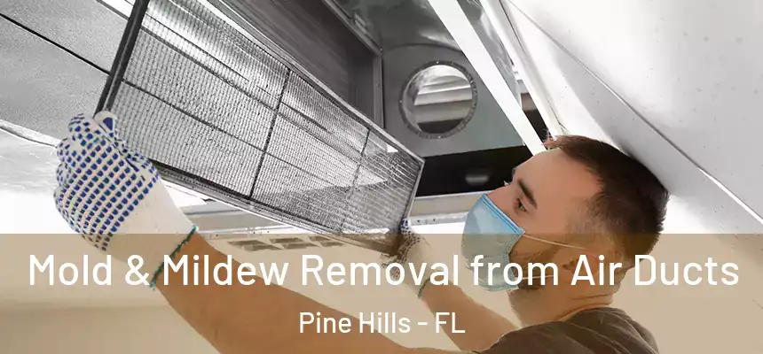 Mold & Mildew Removal from Air Ducts Pine Hills - FL
