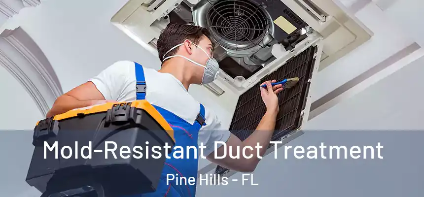  Mold-Resistant Duct Treatment Pine Hills - FL