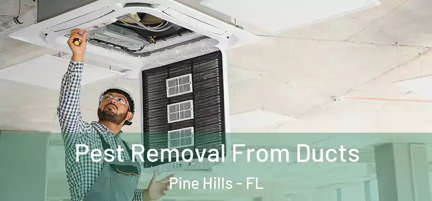 Pest Removal From Ducts Pine Hills - FL