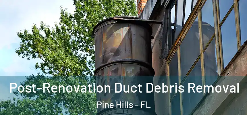 Post-Renovation Duct Debris Removal Pine Hills - FL