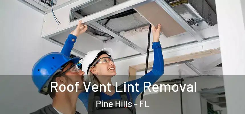  Roof Vent Lint Removal Pine Hills - FL