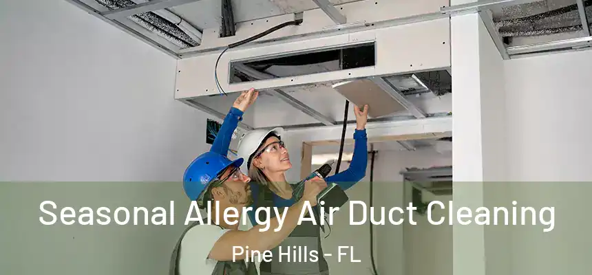 Seasonal Allergy Air Duct Cleaning Pine Hills - FL