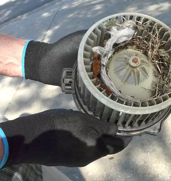 About Air Duct Mice Removal in Pine Hills, FL