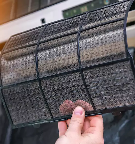About Pet Dander Duct Cleaning in Pine Hills, FL