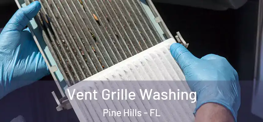Vent Grille Washing Pine Hills - FL